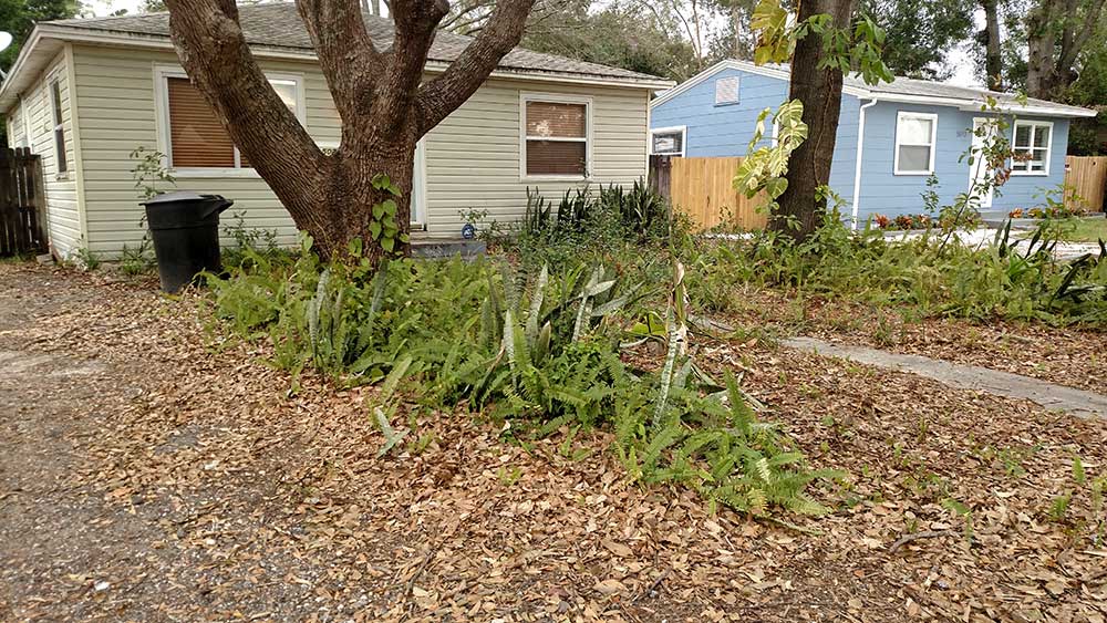 5021 36th Ave N Outside Home Renovation — Before